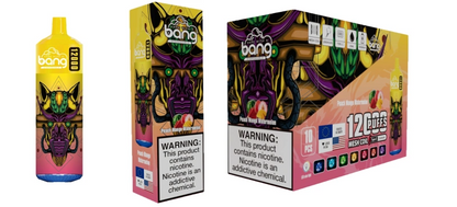 Bang 12000 Puffs Rechargeable Disposable Vape 10pcs/pack