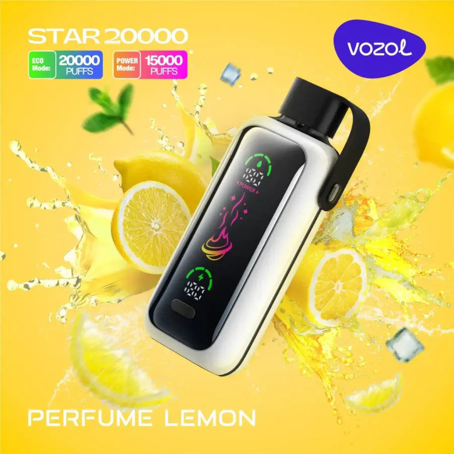 Vozol Star 20000 Puffs Dual Power Rechargeable Disposable Vape