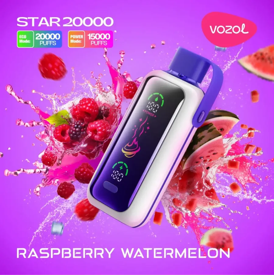 Vozol Star 20000 Puffs Dual Power Rechargeable Disposable Vape