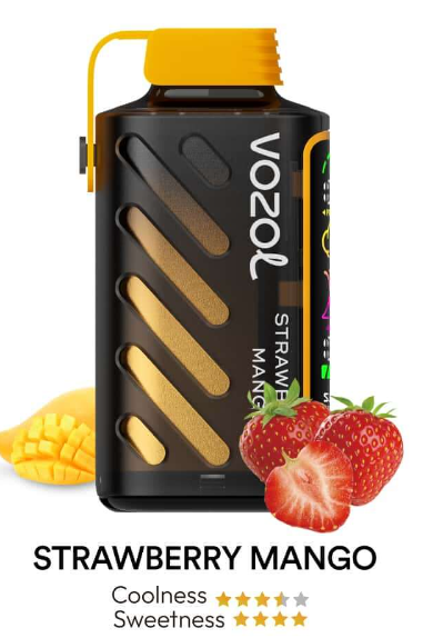 VOZOL Gear Power 20000 Rechargeable Disposable Kit (LED Display)