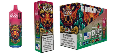 Bang 12000 Puffs Rechargeable Disposable Vape 10pcs/pack